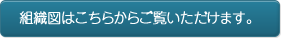 組織図はこちらからご覧いただけます。